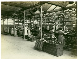 Reparto di avvolgimento, Long Meadow mill, 1923 da English Photographer